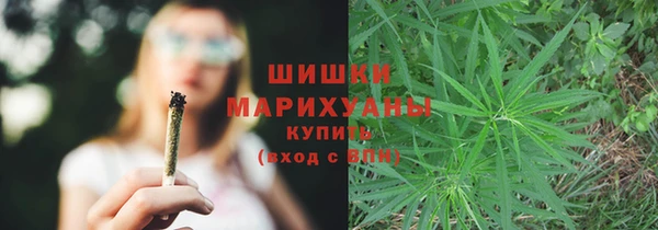 винт Верея