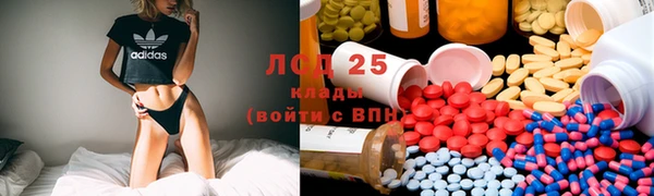 винт Верея