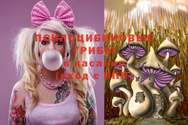 ALPHA PVP Верхний Тагил