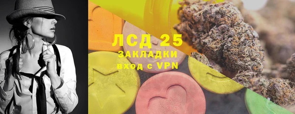 винт Верея