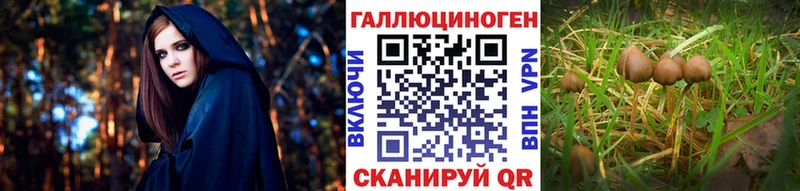 Галлюциногенные грибы прущие грибы  Рузаевка 